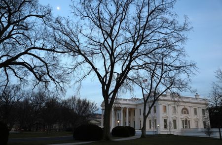 Growth to slow, inflation to rise if Trump implements tariff plan: Morgan Stanley